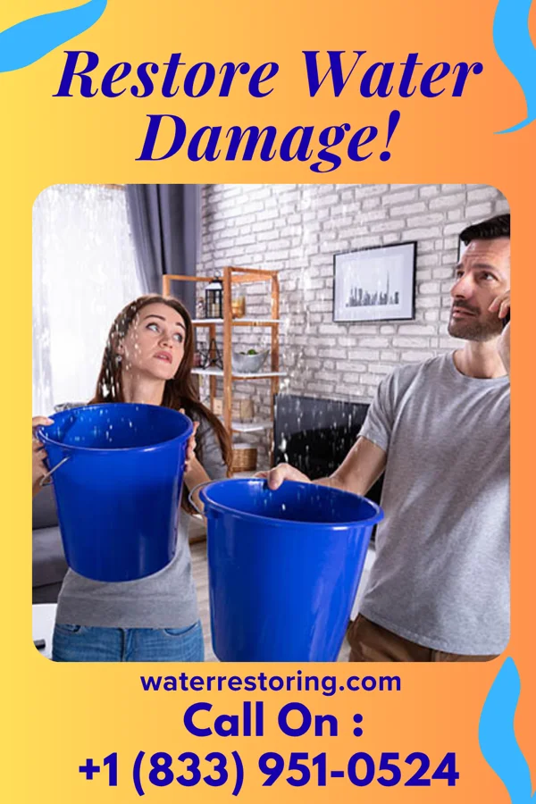 water restoration Patriot Cleanup Group Orchidlands Estates
