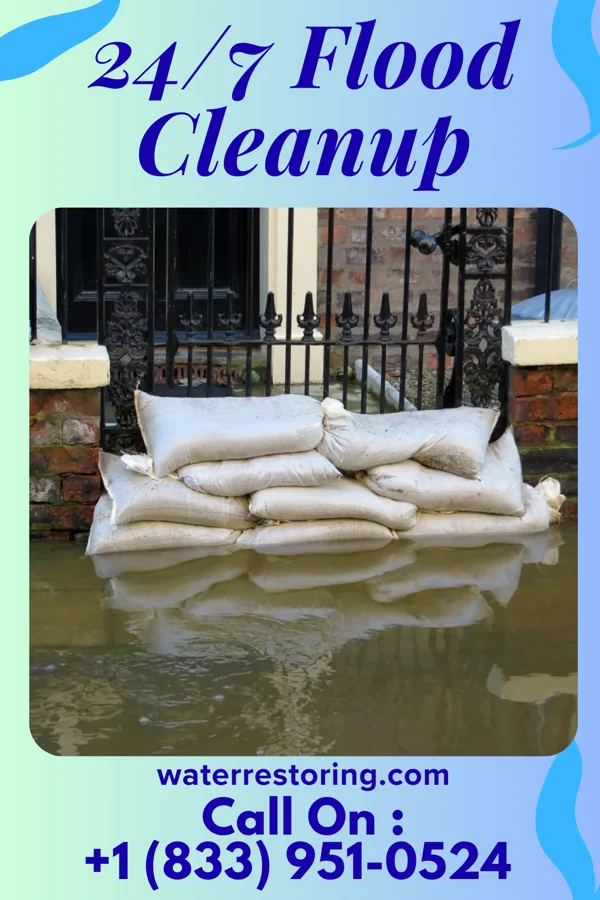 24/7 Flood Cleanup in Orchidlands Estates, HI
