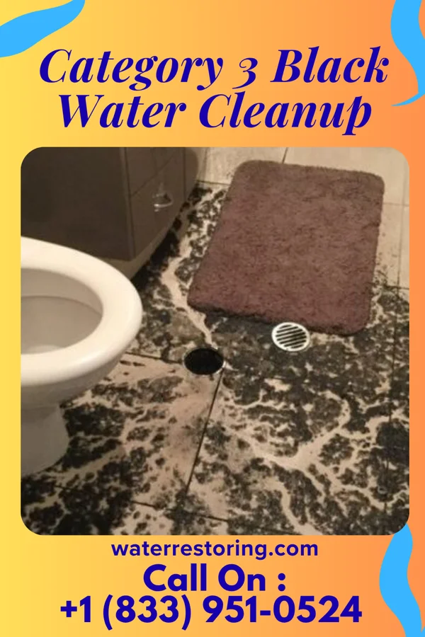 Category 3 Black Water Cleanup in Orchidlands Estates, HI