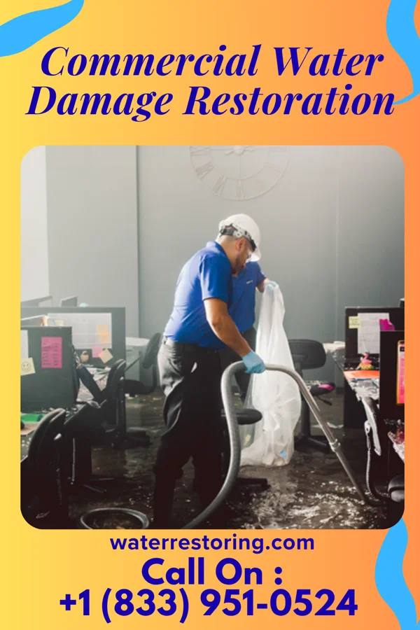 Commercial Water Damage Restoration in Orchidlands Estates, HI
