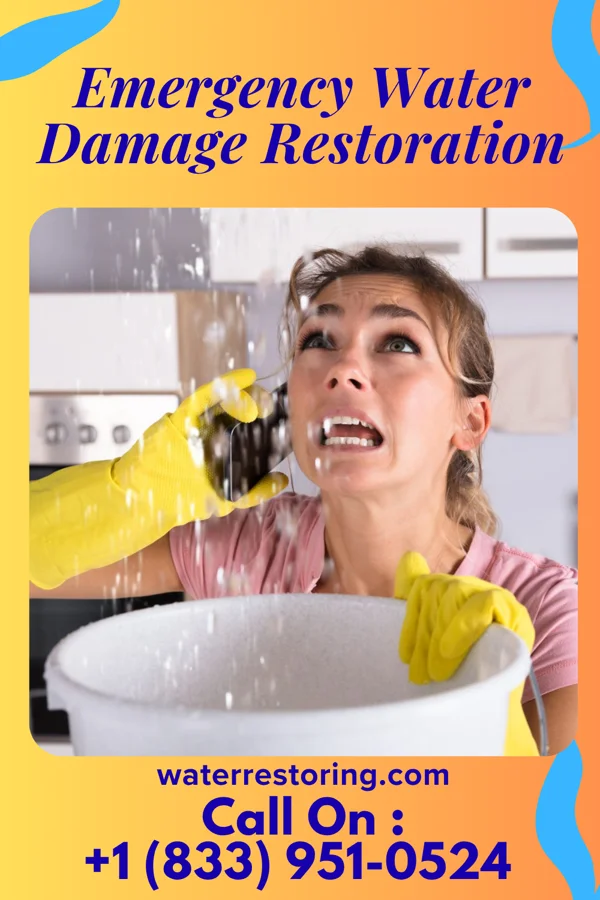 Emergency Water Damage Restoration in Orchidlands Estates, HI