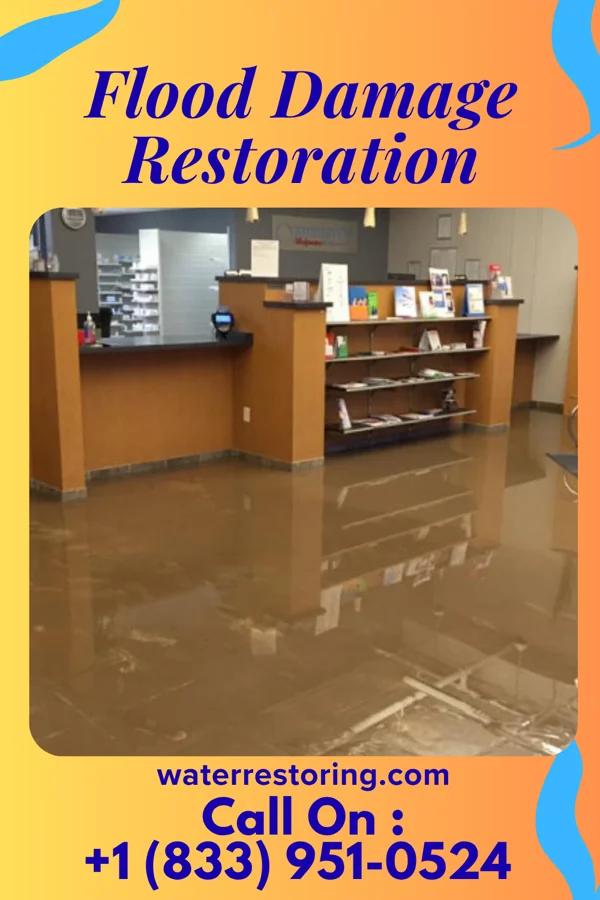 Flood Damage Restoration in Orchidlands Estates, HI