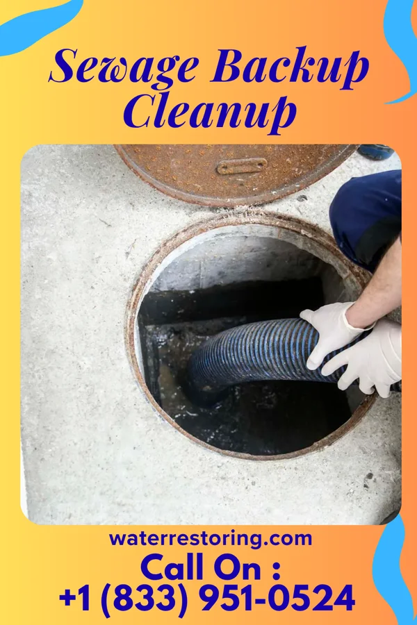 Sewage Backup Cleanup in Orchidlands Estates, HI