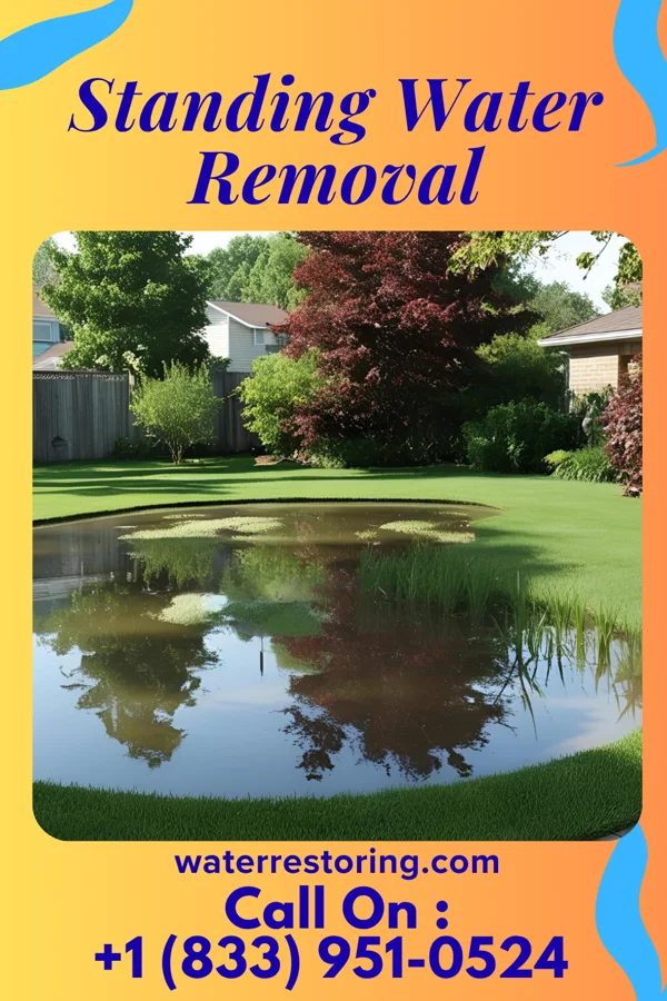 Standing Water Removal in Orchidlands Estates, HI